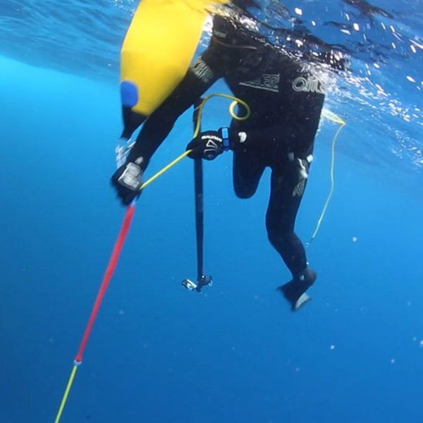 Neptonics Inflatable Spearfishing Float