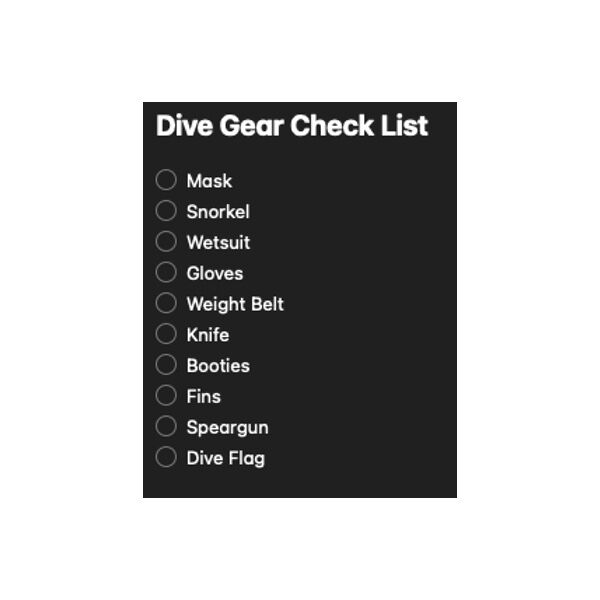 Preparing For Dive Trips - Building Your Freediving Checklist - Neptonics